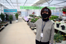 정관장홍삼용인전시판매장 | 가격·품질·서비스 갖춘 용인 나무전시판매장