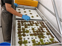 이동 보조기구 사용자 치유농업 모델 개발