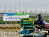 공근농협 바나듐쌀 첫 모내기 실시