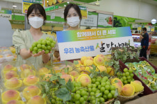 농협 하나로마트, 샤인머스캣.그린황도 올해 첫 선