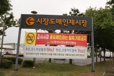 시장도매인 보초 서자 중도매인 가락시장 갔다