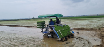 가루쌀 보급 확대, 김제 쌀전업농 나선다