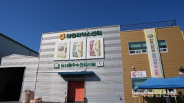 [메가 FTA 시대 쌀산업 해법④] 쌀 수출 전문화로 활로 모색