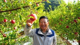 [현장톡톡!-충북 괴산 가나안농원] 명전바이오 시스타 사용했더니 잎 때깔이 달라요