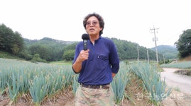 [이시간 대파 재배 현장에서는] 동오시드 금맥 대파, 탁월함에 인기몰이