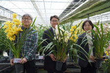 국산 심비디움 현장 안착…산업 활력 불어넣어