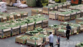 [뉴스팜리포트] 농산물 직거래 소비자·생산자 윈윈