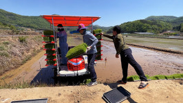 어떤 이앙기에도 설치 가능…국산 시비기 기술, 일본 제품 넘어선다