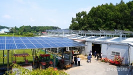 재생에너지 드라이브···햇빛소득마을 전국 확산