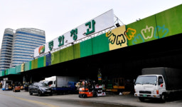 동화청과 출하주 46% 소농…영세농 유통 창구 역할 톡톡