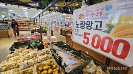 농협 하나로마트 수입 농산물 취급 해야하나