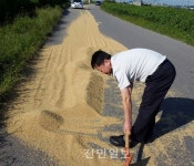 친절한 경찰 김제서 봉남파출소 직원들 작은 배려 훈훈