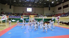 무주군, 웰빙태권도체조 페스티벌 성료