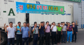 수박보다 단 삼례 멜론 홍콩 갑니다