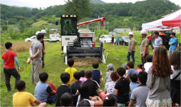 무주 무풍초등학교 학생, 폐교에서 보리 수확 활동