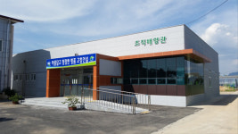 고창군 고구마 조직배양묘 분양