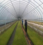 부안군 2017 디딤돌청년협업농장 공모 선정