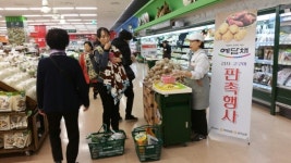 전북 예담채 감자, 고구마 롯데마트 할인행사