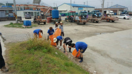 고려대 동아리, 고창 하전마을 방문 농어촌 교류