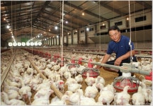 ㈜하림 동물복지 도입 사육 시스템 구축