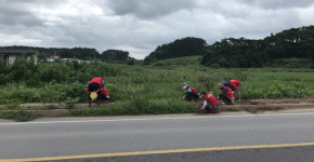 부안 보안면 여성자원봉사회 마을 환경정화