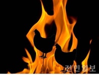 완주 양계장 화재…닭 1만 마리 불에 타 죽어