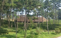 웅포산림문화체험관 녹차밭 산책길 보강