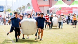 장수군에 문화·예술을 입히다