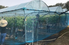 김제시 인재양성과, 농촌일손돕기에 봉사활동 펼쳐