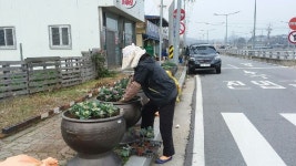 임실관촌면, 아름다운 지역경관조성 앞장
