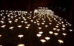 정읍시, 내장호 산책로 야간경관조명 설치