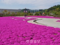 진안 용담호변 꽃길 걸어보세요