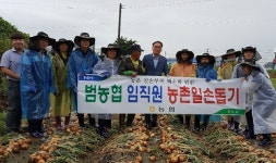 농협 전주완주시군지부, 영농철 맞이 양파 수확 일손 돕기 실시