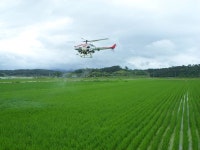 임실군, 무인헬기 이용 벼 병해충 공동 방제 본격화