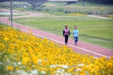 정읍시, 쉼과 활력이 넘치는 도심 만들기 박차
