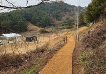 정읍시 내장상동 왕솔밭 산책로 조성 완료
