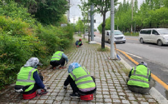 익산시, 주요도로 가로환경 정비 박차