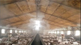 익산시, 하절기대비 축산환경개선에 박차