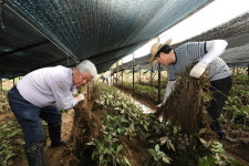 무주군 간부공무원들 수해현장으로