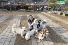 유기견을 식구처럼... 개엄마 이하영씨 화제