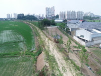 익산시 인화공원, 무장애 메타세쿼이아길 조성 착수