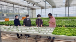 박경숙 전북농업기술원장, 정읍시 농업현장 방문 영농지도