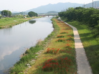 전북도 눈치 보지 말고 반려동물과 여행하세요