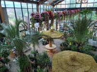 정읍산림조합, 유리온실 희망정원 새 단장 재개장