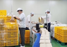 정읍시, 친환경농산물 생산·가공·취급자 인증비 지원