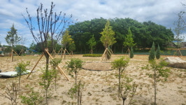 익산 왕궁학호마을 축산단지, 명품 힐링숲 탈바꿈