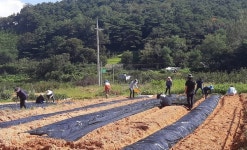 정읍시, 체재형 가족실습농장 입교 도시민 10가구 영농교육