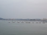 군산해경, 실뱀장어 불법조업 특별단속 돌입