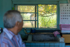 서학동사진미술관, 김경원 이발하던 날 개인전