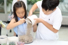 반려식물 관리, 어린이 원예 체험으로 배워요